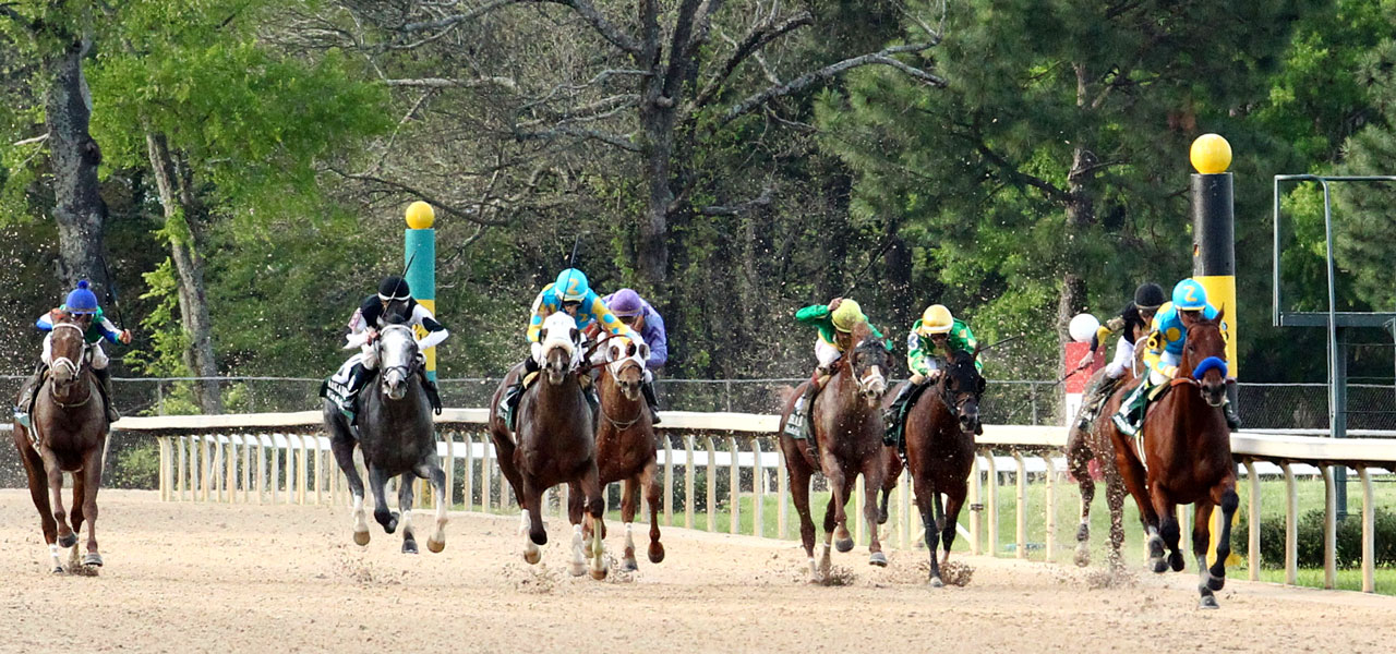 2015 Arkansas Derby Race Sequence - Features - BloodHorse.com