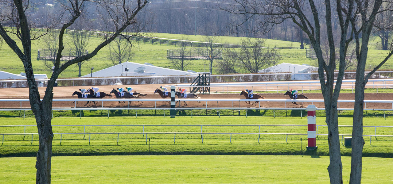 2015 Bluegrass Stakes Race Sequence Features