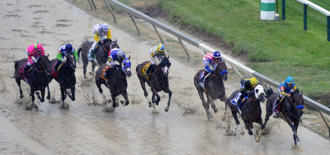 2015 Preakness Stakes Race Sequence Features BloodHorse com 2015 Preakness Stakes Race Sequence Features BloodHorse com