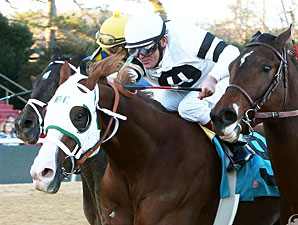 Solid Field of 10 to Contest Southwest Stakes