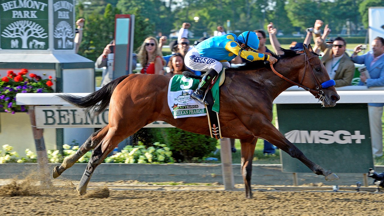 Image result for american pharoah