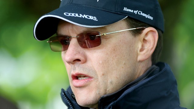 coolmore stud baseball caps