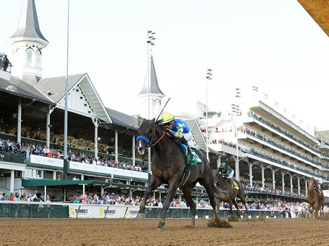 Fort Bragg - Stallion Register Online