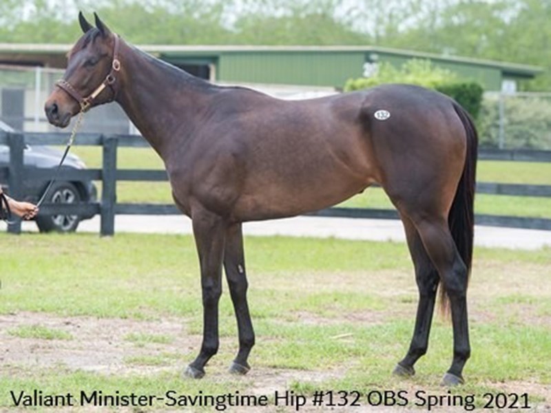Valiant Minister Stallion Register Online