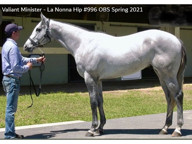 Valiant Minister Stallion Register Online