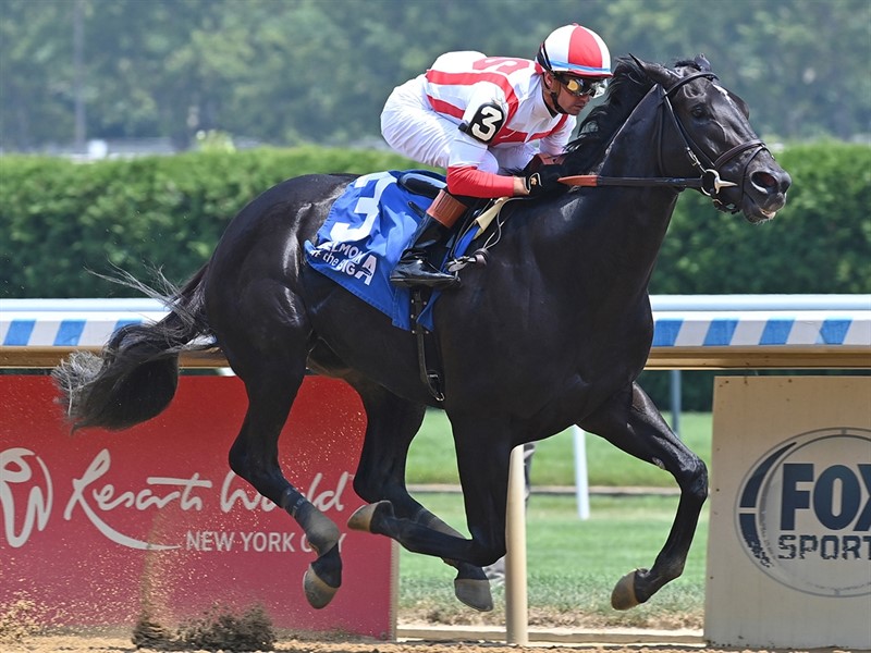 Domestic Product Stallion Register Online